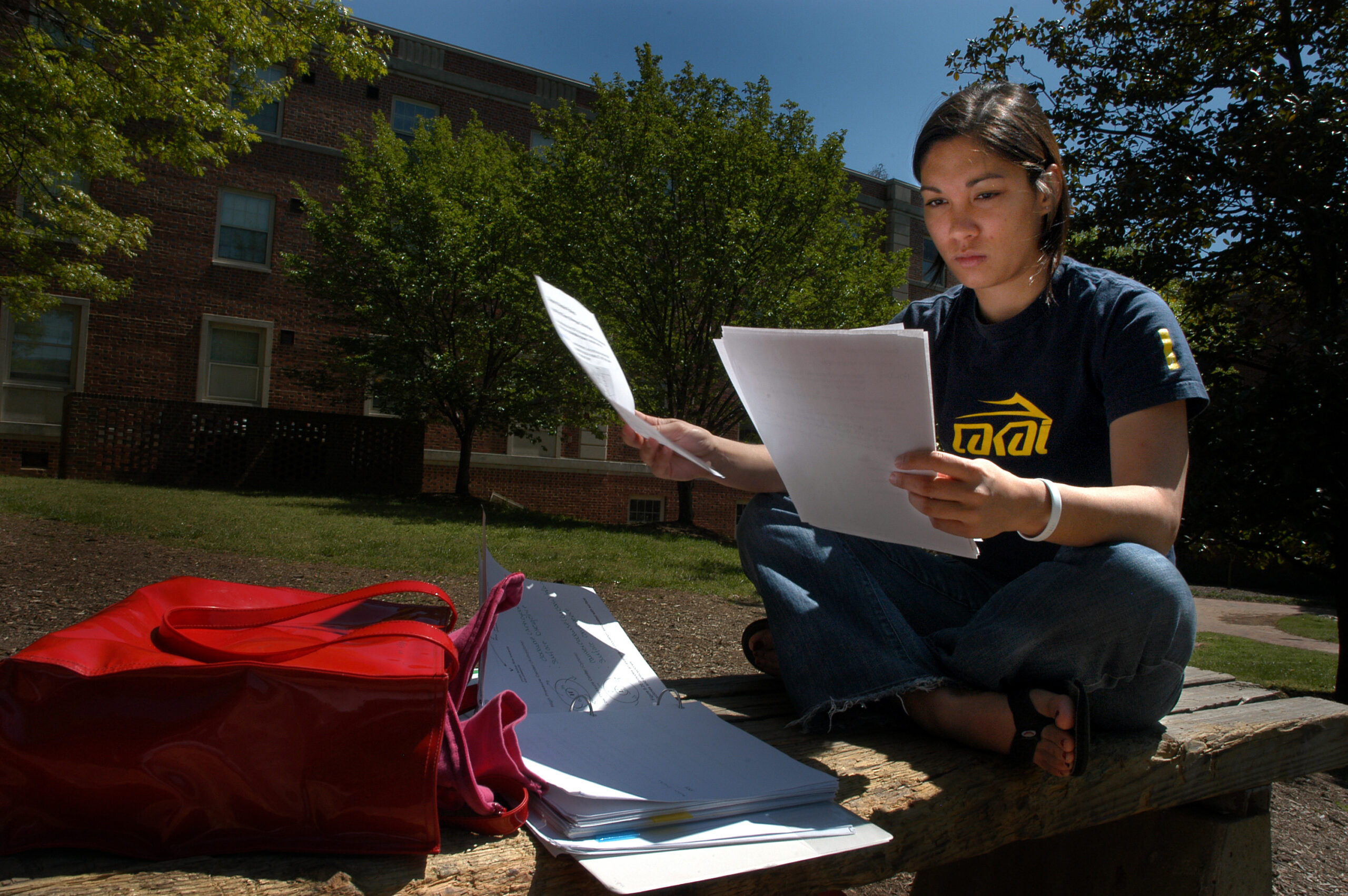 Student studies on a bench outside.